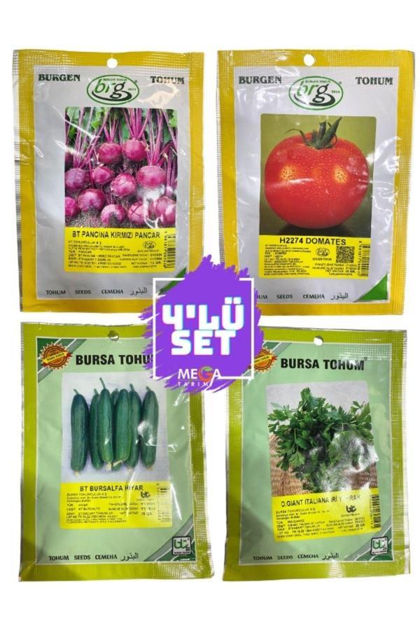 Bursa Tohum 4'Lü Tohum Seti ( Kıvırcık Pancar-H2274 Domates-Bursaalfa Hıyar -İri Yaprak Maydanoz ) 10 Gr. - Image 1
