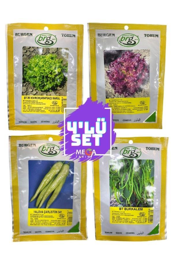 Bursa Tohum 4'Lü Tohum Seti ( Arap Saçı Marul-Kırmızı Marul-Yalova Çarliston Biber -Tatlı Kıl Biber ) 10 Gr - Image 1