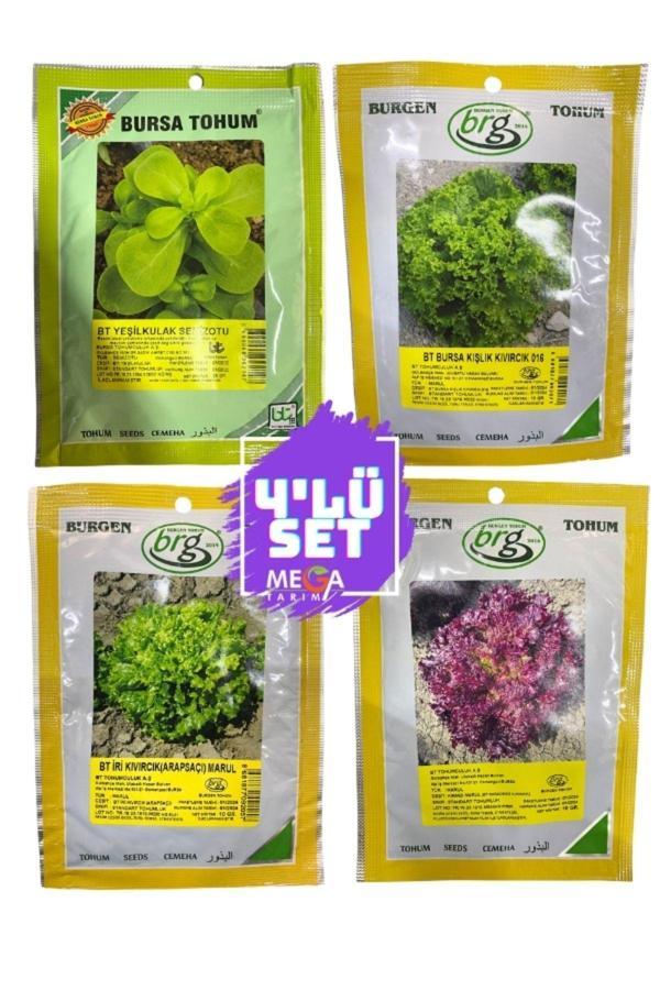 Bursa Tohum 4'Lü Tohum Seti ( Semizotu-Kışlık Kıvırcık-Arapsaçı Marul -Kırmızı Marul ) 10 Gr Paketler - Image 1