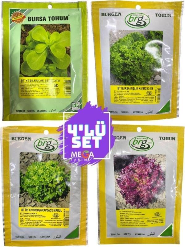 Bursa Tohum 4'Lü Tohum Seti ( Semizotu-Kışlık Kıvırcık-Arapsaçı Marul -Kırmızı Marul ) 10 Gr Paketler - Image 1