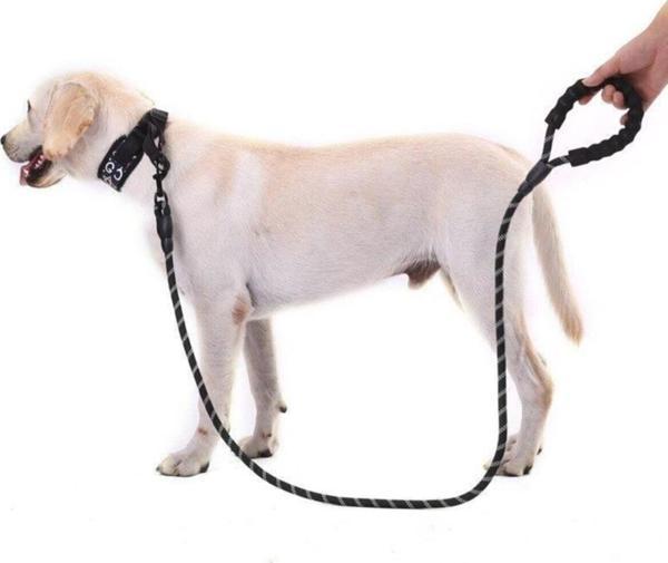 Süslüpati Reflektörlü Köpek Tasması 130Cmsuslupati - Image 1