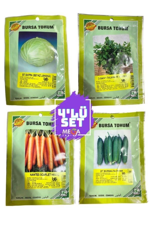 Bursa Tohum 4'Lü Seti ( Beyaz Lahana-İri Maydanoz-Nantes İri Havuç-Bursaalpa Hıyar ) 10 Gr Paketler - Image 1