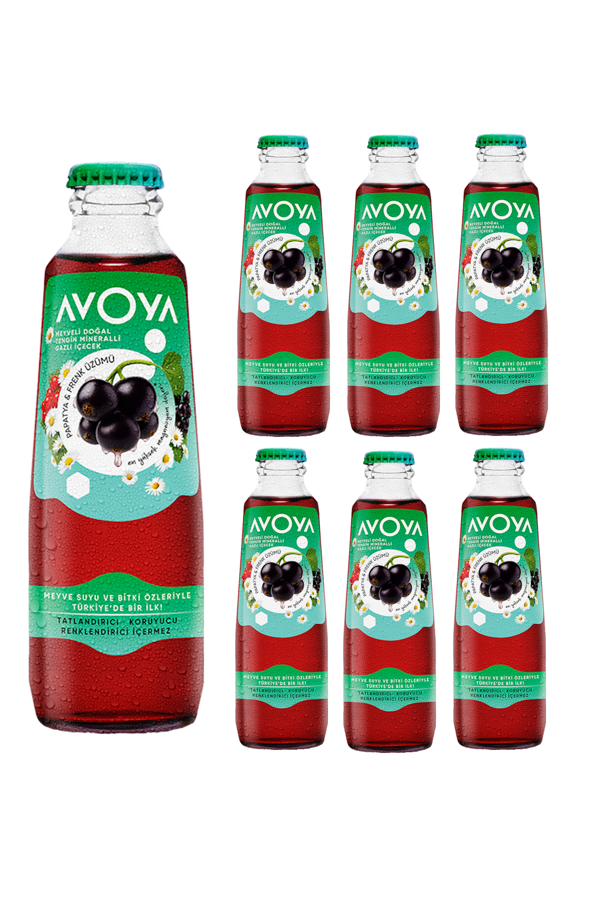Avoya 6'lı Frenk Üzümü & Papatya Meyveli Maden Suyu 200 ml - Image 1