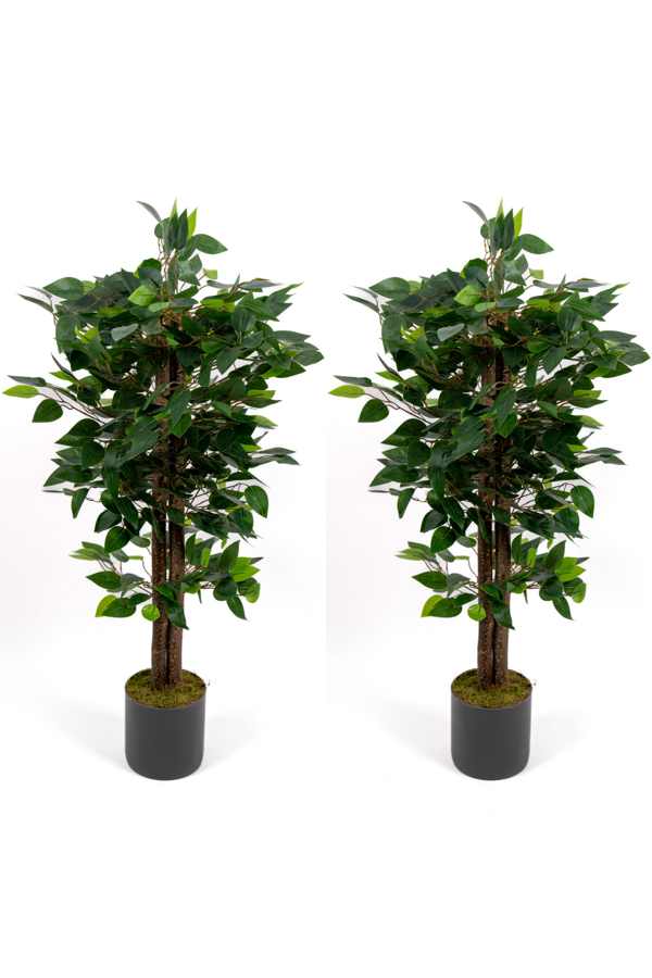 2’li Yapay Benjamin Ağacı Seti – 100 cm Gri Saksılı Dekoratif Salon & Ofis Bitkisi - Image 1