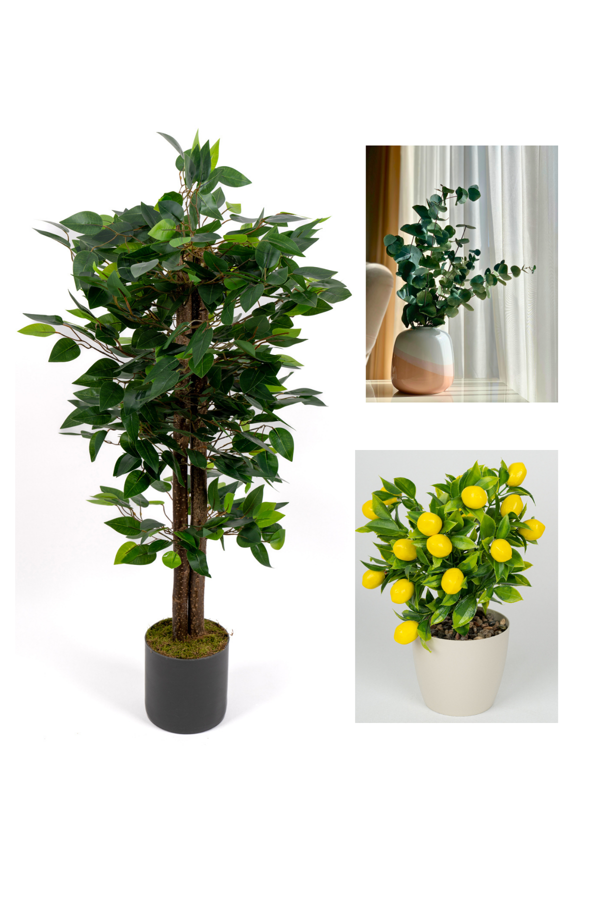 Dekoratif 3’lü Set: 100 cm Yapay Benjamin Ağacı + Şoklanmış Okaliptus Demeti + Yapay Limon – Ev & Ofis Doğal Dekorasyon - Image 1