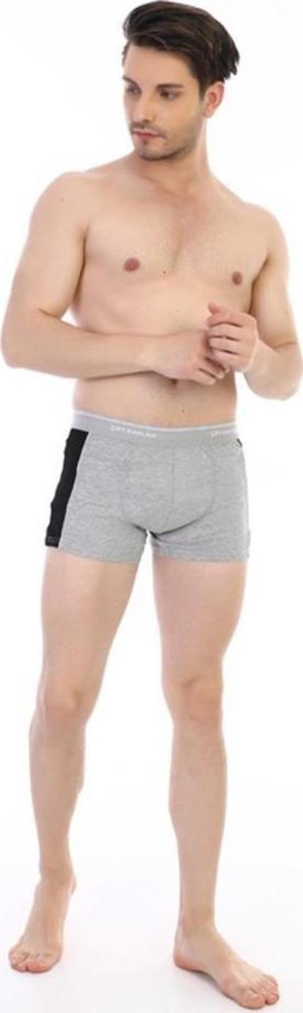 3 Adet Çift Kaplan Erkek Elastanlı Biyeli Boxer 850 - Image 1