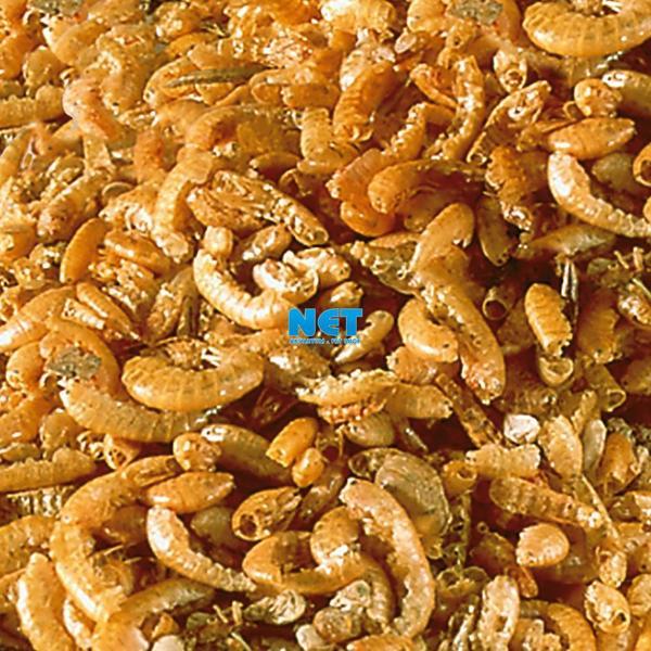 Sera Raffy I Gammarus 1000 ml 130 gr (bölünmüş) Kablumbağa Ve Kertenkele   - Image 1