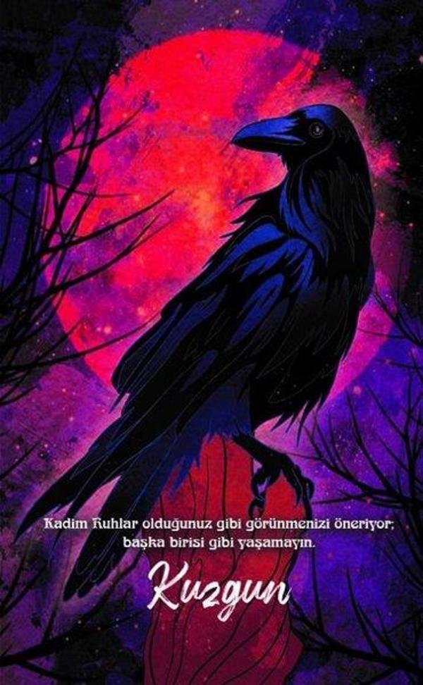 Kuzgun - Şaman Defterleri - Gece Kitaplığı - Image 1