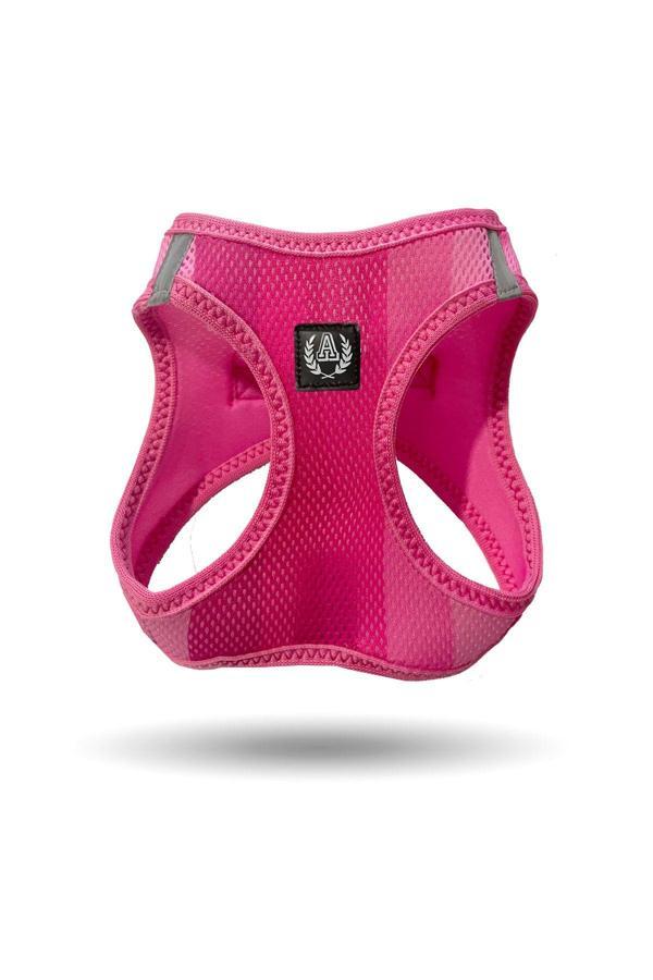 Alphadog Striped Air-Mesh Göğüs Tasması - Image 1
