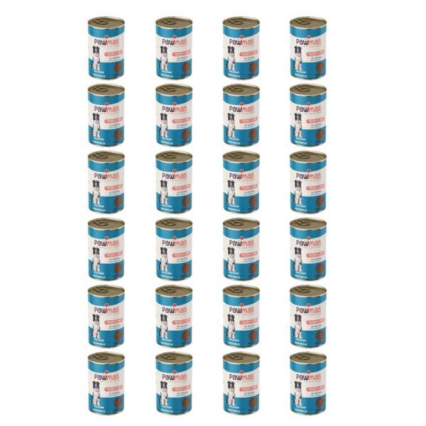 Pawmas Somonlu Yetişkin Köpek Konservesi 400 grx24 Adet - Image 1