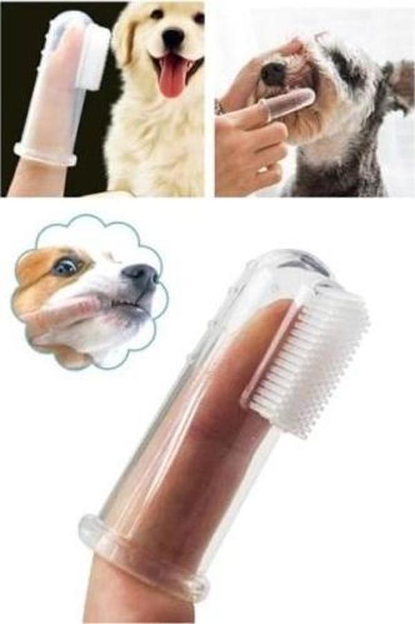 Kedi Köpek Diş Temizleme Fırçası - Image 1