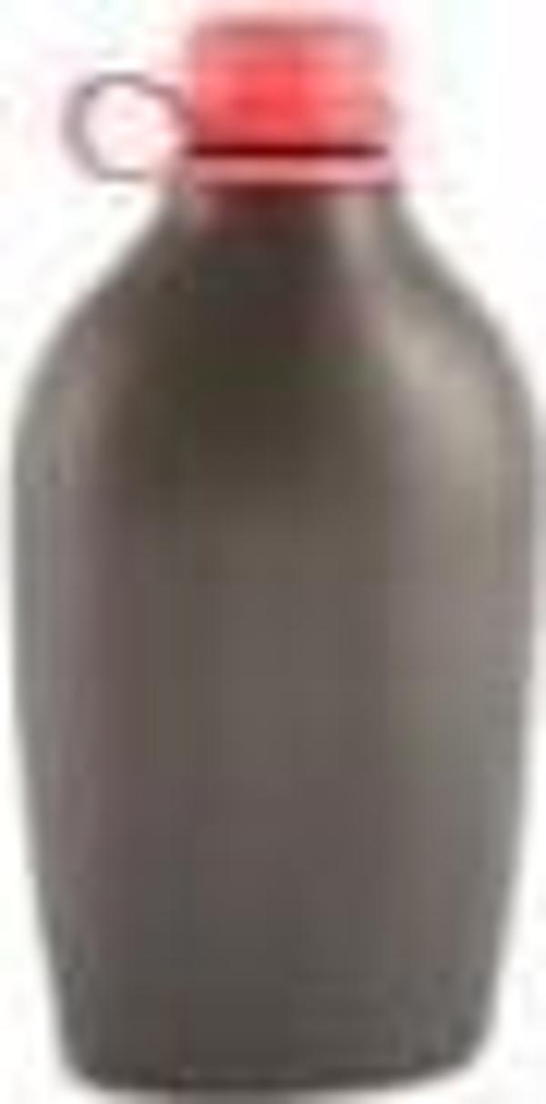 Wildo Explorer Bottle Karabinalı Su Matarası 4267 - Image 1