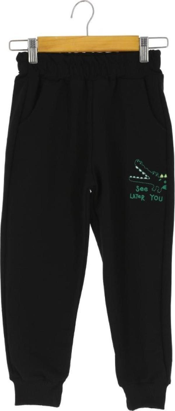 DİNOZOR SEE LATER YOU NAKIŞLI 30/150 2 İP ERKEK EŞOFMAN ALT Siyah - Image 1