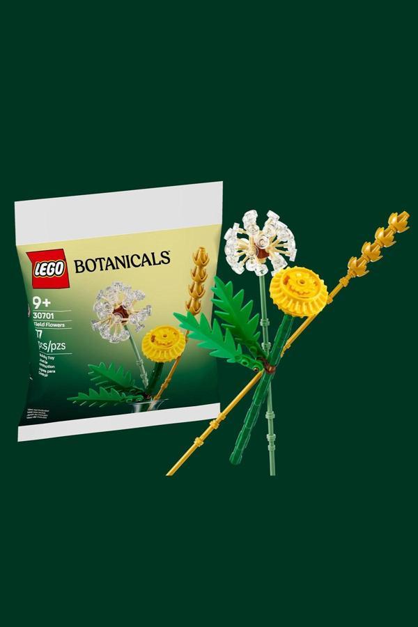 30701 LEGO Botanicals Field Flowers (77 Parça) Tarla Çiçekleri - Image 1