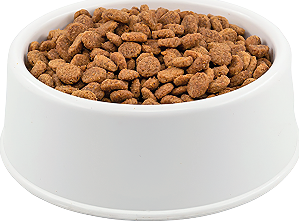 Pro Perfeck Premium Kısırlaştırılmış Somonlu Portakallı Kedi Maması 1 Kg - Image 1
