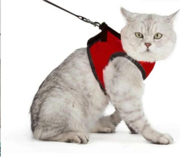 Yey Kaçış Önleyici Nefes Alabilen Yüzey Kedi Gezdirme Göğüs Tasma Seti - Image 1