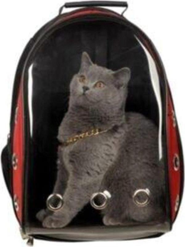 Alfagrup Kırmızı Şeffaf Kırılmaz Yıkanabilir Kedi Köpek Taşıma Çantası - Image 1