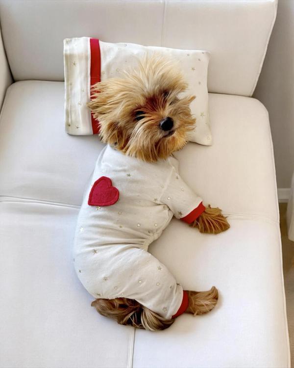 Sparkle Hearts Penye Tulum Yastık Takım Uyku Set Köpek Tulum Elbise - Image 1