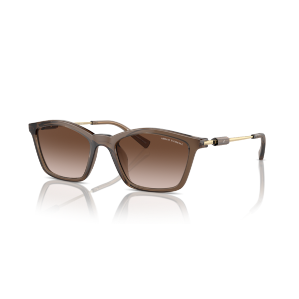 AX 4146SU 834913 53 Armani Exchange Güneş Gözlüğü - Image 1