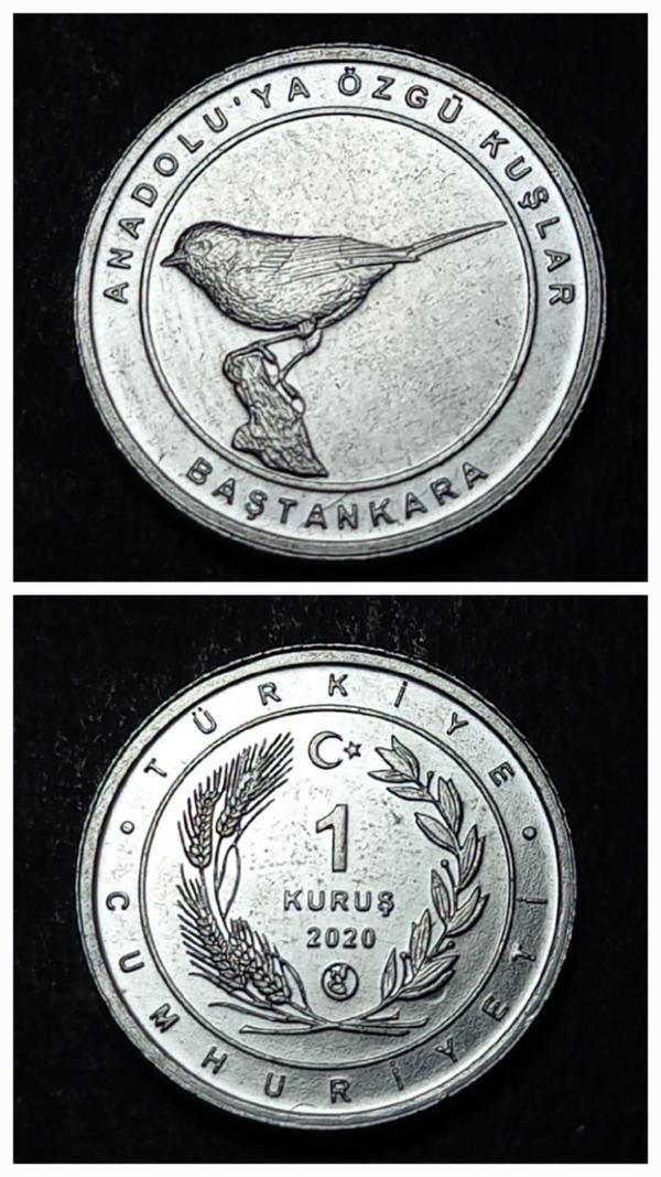Escoines 39963689494474f755 2020 Anadolu'ya Özgü Kuşlar Serisi BAŞTANKARA 1 Kuruş ÇİL Para - Image 1