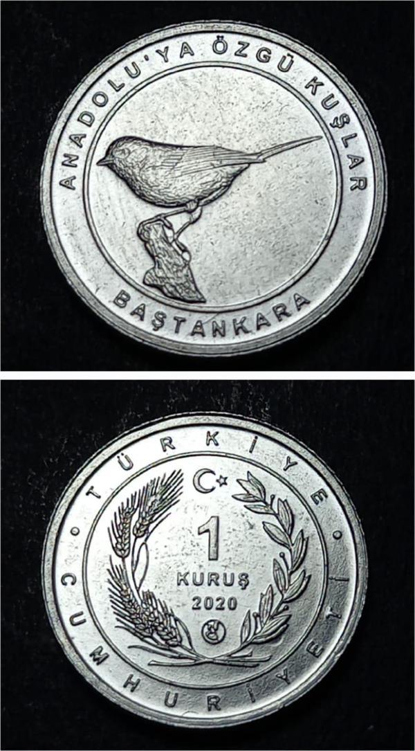 Escoines 39963689494474f755 2020 Anadolu'ya Özgü Kuşlar Serisi BAŞTANKARA 1 Kuruş ÇİL Para - Image 1