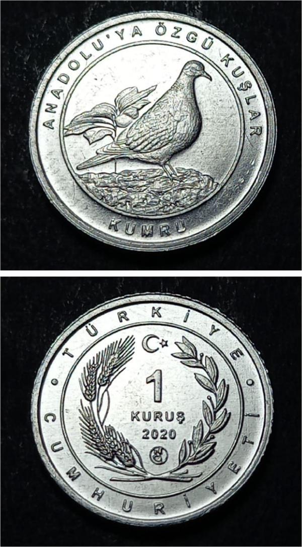Escoines 399636894944a8e000 2020 Anadolu'ya Özgü Kuşlar Serisi KUMRU 1 Kuruş ÇİL Para - Image 1