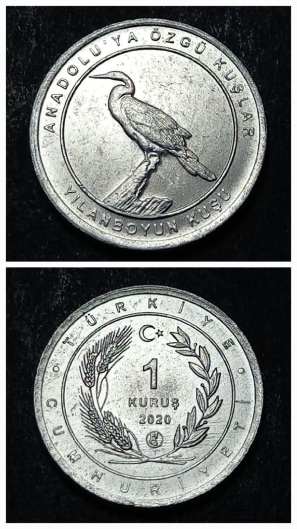 Escoines 399636894944d4d941 2020 Anadolu'ya Özgü Kuşlar Serisi YILANBOYUN KUŞU 1 Kuruş ÇİL Para - Image 1