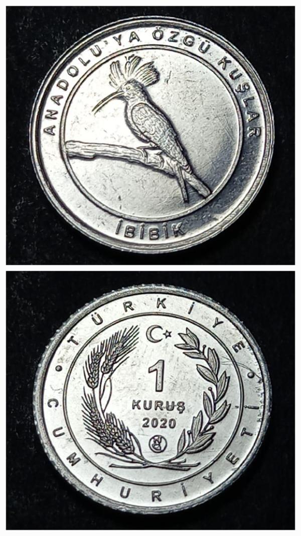 Escoines 39963689494501f032 2020 Anadolu'ya Özgü Kuşlar Serisi İBİBİK 1 Kuruş ÇİL Para - Image 1