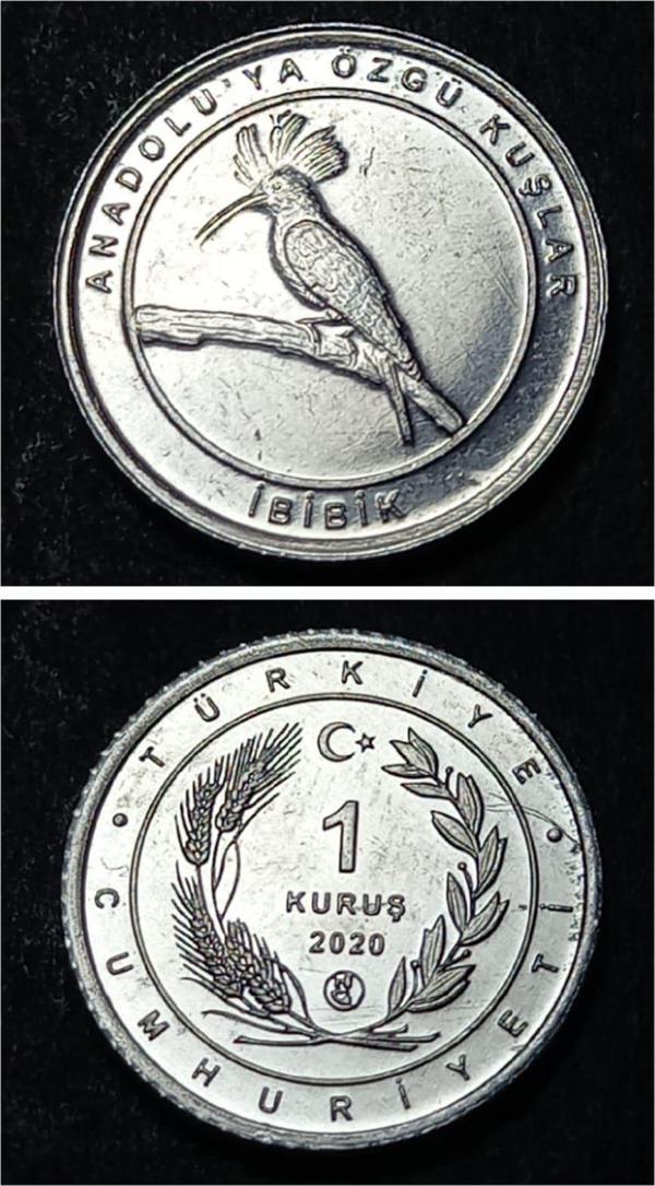 Escoines 39963689494501f032 2020 Anadolu'ya Özgü Kuşlar Serisi İBİBİK 1 Kuruş ÇİL Para - Image 1