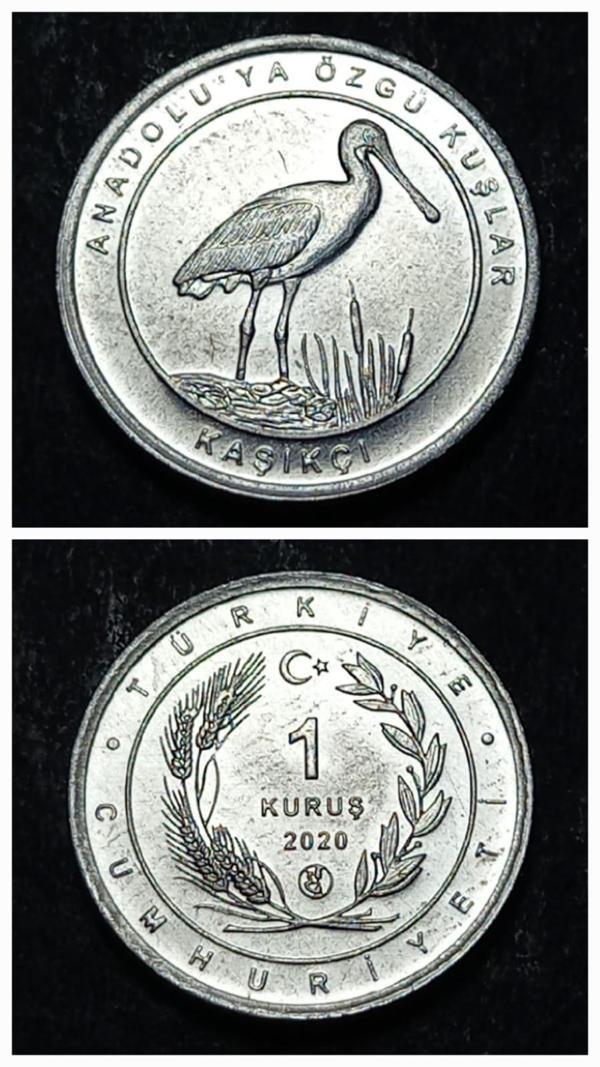 Escoines 399636894945dcbd05 2020 Anadolu'ya Özgü Kuşlar Serisi KAŞIKÇI 1 Kuruş ÇİL Para - Image 1