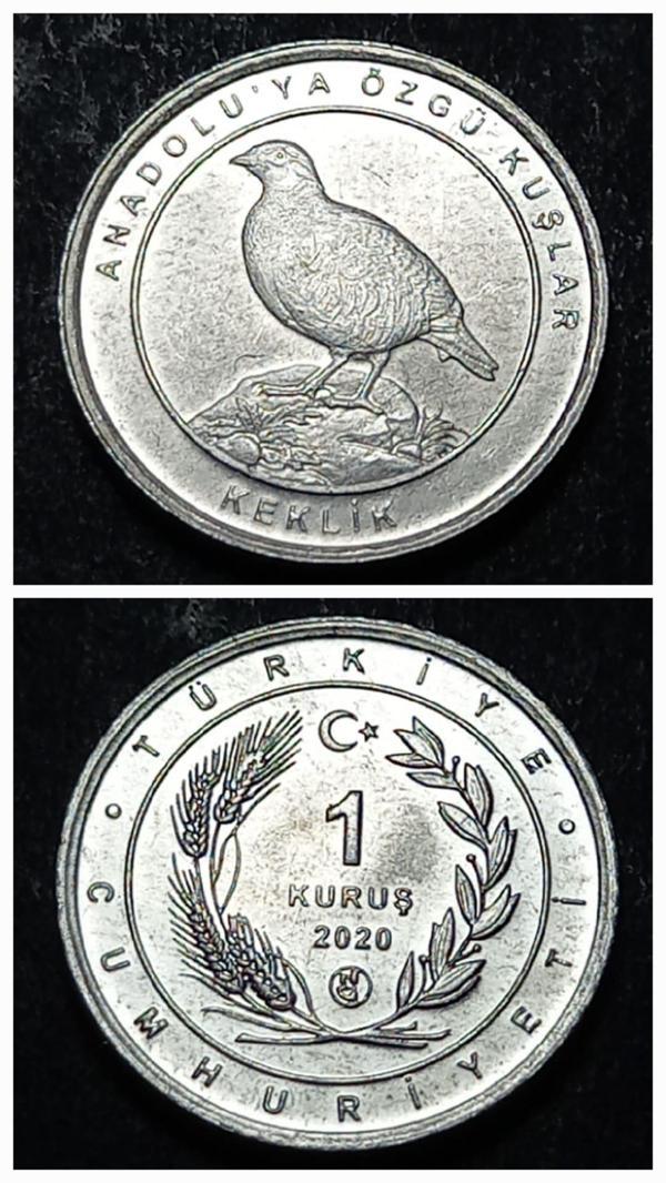Escoines 39963689494665bd49 2020 Anadolu'ya Özgü Kuşlar Serisi KEKLİK 1Kuruş ÇİL Para - Image 1