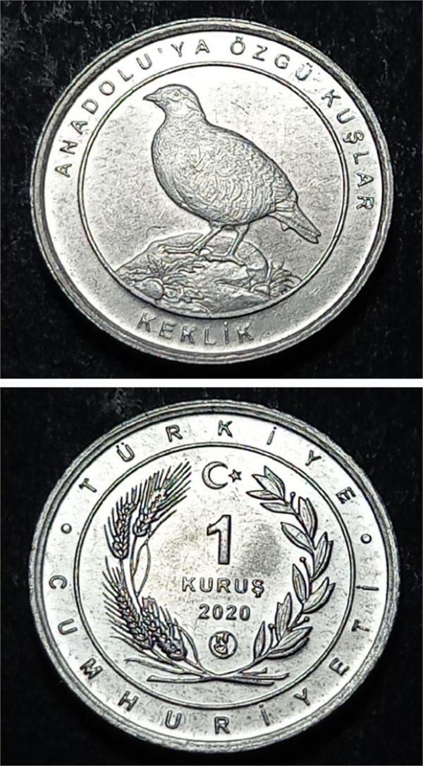 Escoines 39963689494665bd49 2020 Anadolu'ya Özgü Kuşlar Serisi KEKLİK 1Kuruş ÇİL Para - Image 1