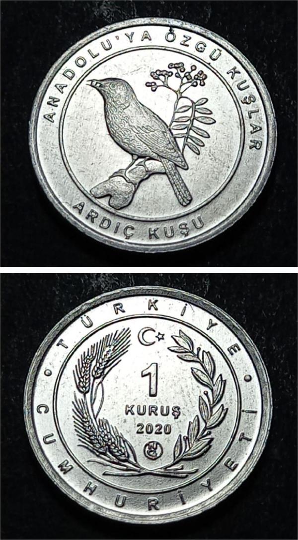 Escoines 3996368949468e1cdc 2020 Anadolu'ya Özgü Kuşlar Serisi ARDIÇ KUŞU 1Kuruş ÇİL Para - Image 1