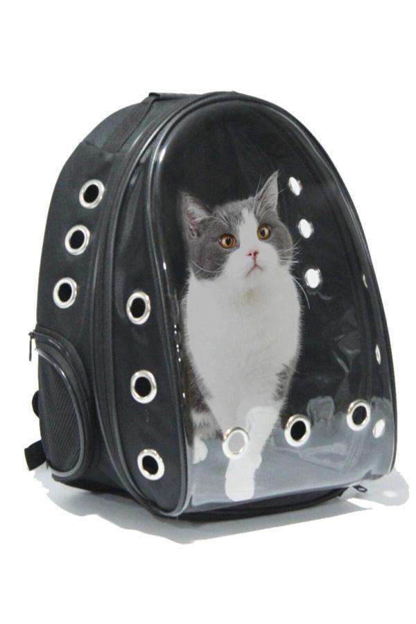 Ksburda Şeffaf Hava Kanallı Kırılmaz Cam Kedi Köpek Taşıma Seyahat Çanta 42*22*33 Cm Siyah - Image 1