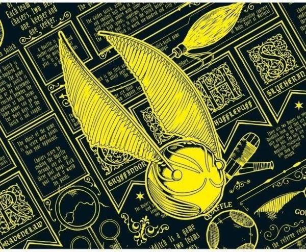 Paladone Harry Potter Quidditch Altın Snitch 1000 Parça Yapboz - Image 1