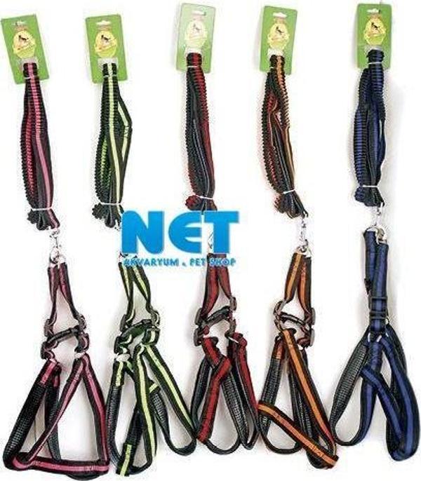 Royalist 201643 ELASTİK KÖPEK TASMA SETİ 2CM  - Image 1