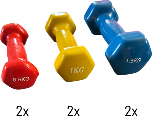 6 Kg Vinly Kaplı Dipping Dumbbell Set Kadınlar İçin Çantalı Dambıl Set 0,5 kg, 1 Kg, 1,5 kg - Image 1