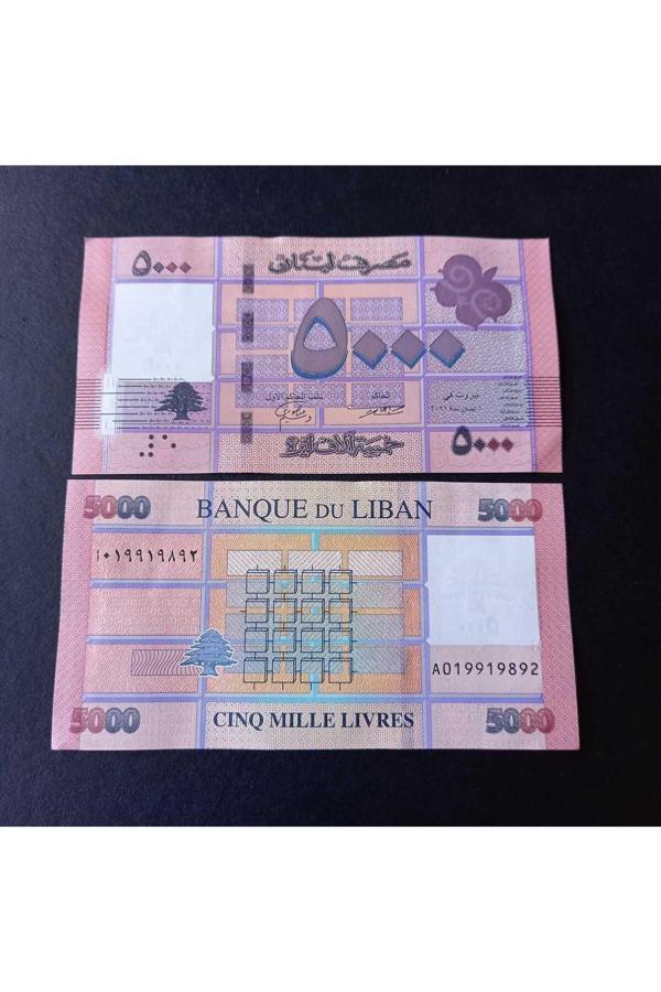 Edi Antik Lübnan 5000 Livres Çil Eski Yabancı Kağıt Para - Image 1
