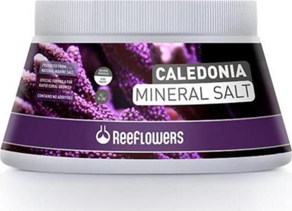 Reeflowers Caledonia Mineral Salt 500 ml Akvaryum Tuzu   - Image 1
