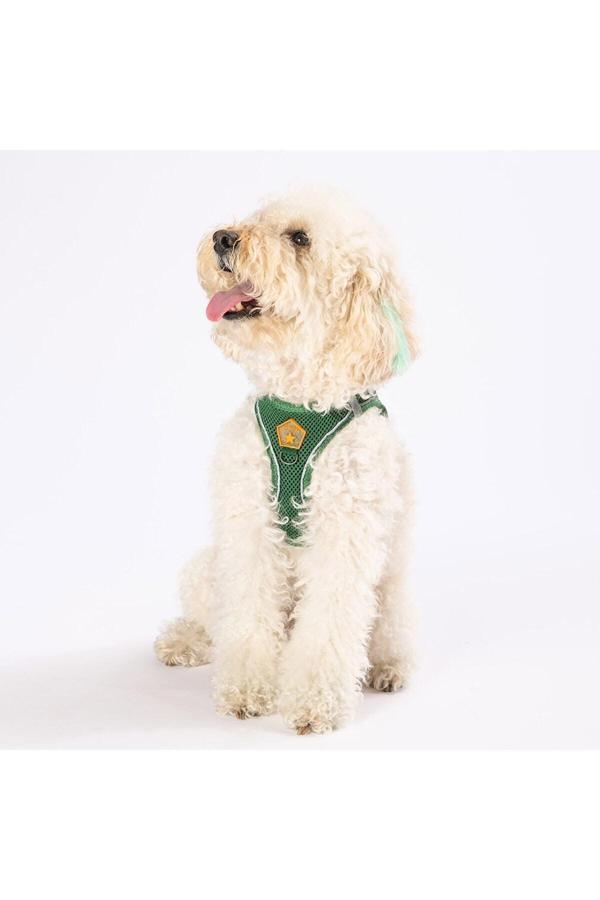 Pawstar Çam Yeşili Air-Mesh Göğüs Tasması Kedi Köpek Göğüs Tasması - Image 1