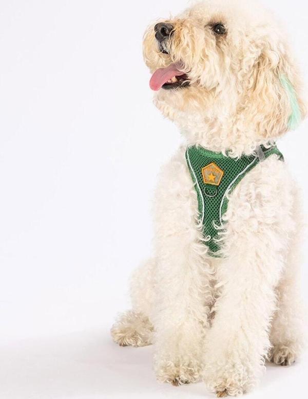 Pawstar Çam Yeşili Air-Mesh Göğüs Tasması Kedi Köpek Göğüs Tasması - Image 1