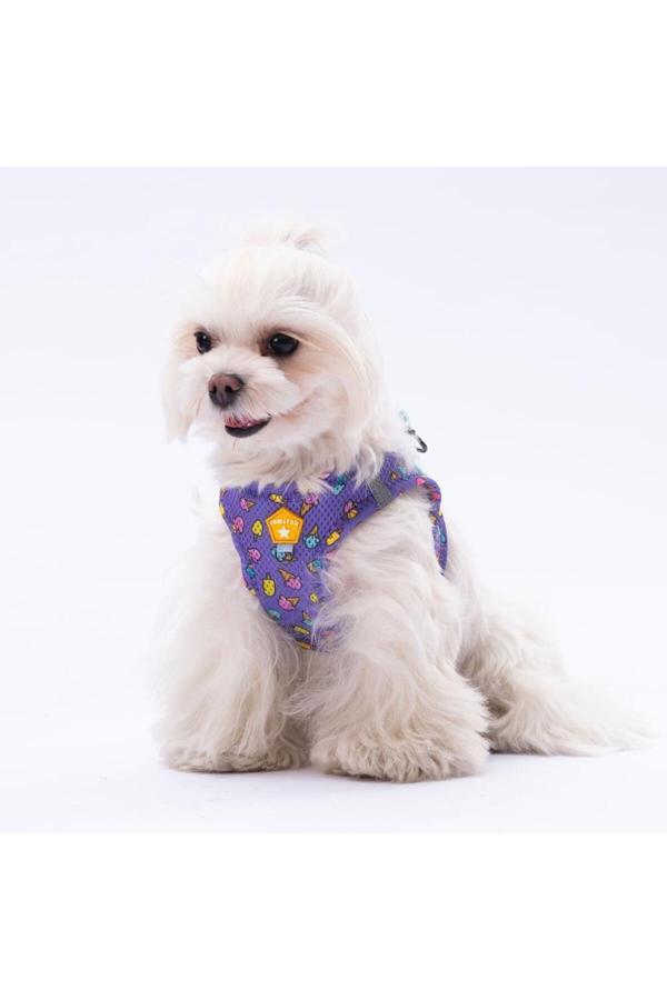 Pawstar Ice Cream Air-Mesh Göğüs Tasması Kedi Köpek Göğüs Tasması - Image 1