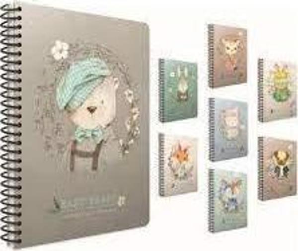 Gıpta Easy Notes Sipiralli Sert Kapak Defter 17x24 120 Yaprak Çizgili - Image 1