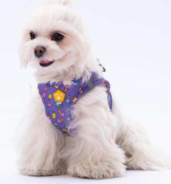 Pawstar Ice Cream Air-Mesh Göğüs Tasması Kedi Köpek Göğüs Tasması - Image 1