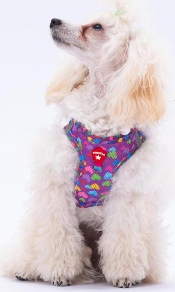 Pawstar Hearts Air-Mesh Kedi Köpek Göğüs Tasması - Image 1