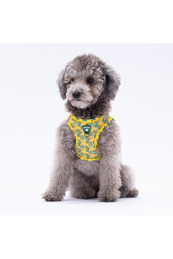 Pawstar Cactus Air-Mesh Göğüs Tasması Kedi Köpek Göğüs Tasması - Image 1