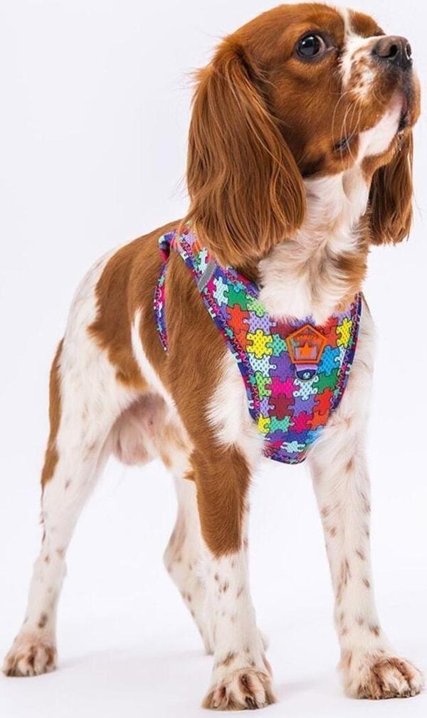 Pawstar Puzzle Air-Mesh Göğüs Tasması Kedi Köpek Göğüs Tasması - Image 1