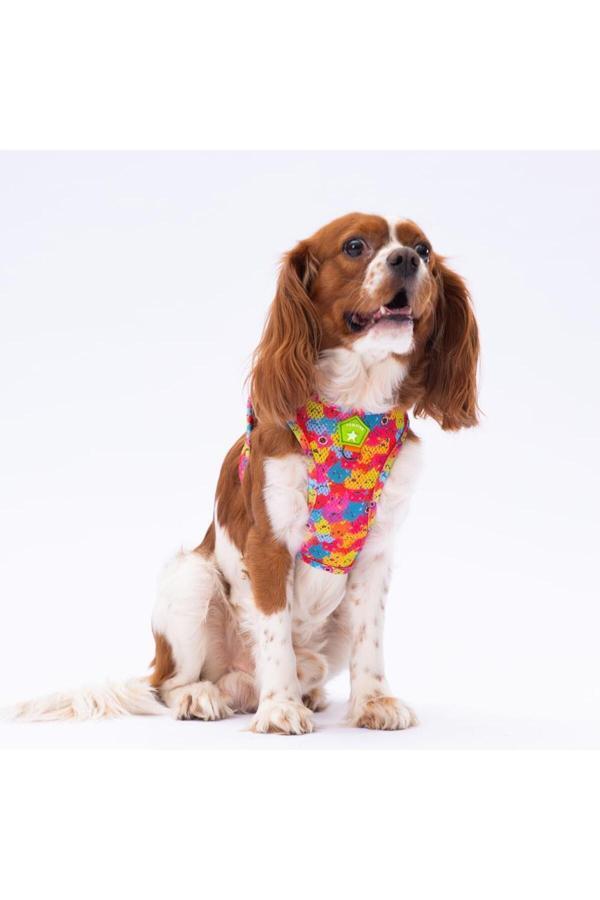 Pawstar Monsters Air-Mesh Göğüs Tasması Kedi Köpek Göğüs Tasması - Image 1