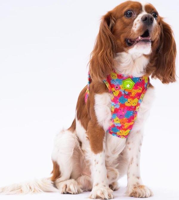 Pawstar Monsters Air-Mesh Göğüs Tasması Kedi Köpek Göğüs Tasması - Image 1