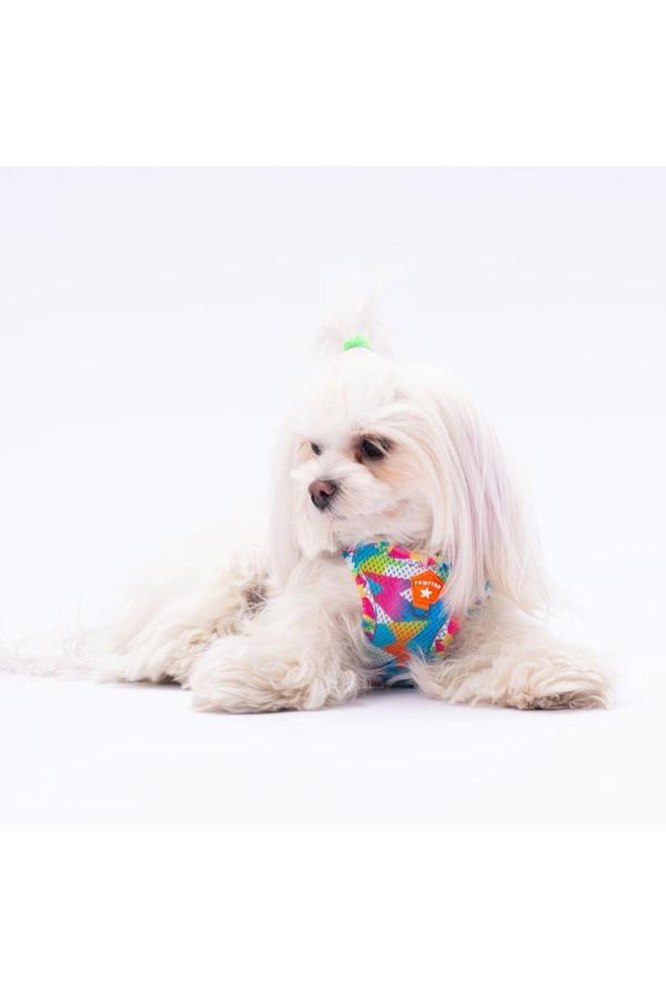 Pawstar Mosaic Air-Mesh Göğüs Tasması Kedi Köpek Göğüs Tasması - Image 1